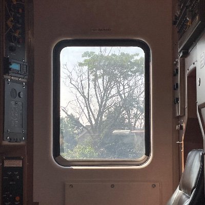 C18164572's profile picture. Onetime park ranger, once-a-month-tweeter, grammatically inconsistent