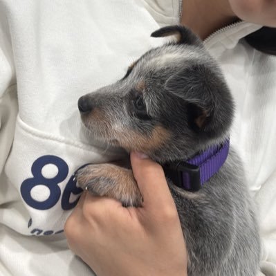 estela_garcia7v's profile picture. 