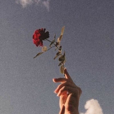 ssa_m0m0's profile picture. 20↑/🟩右固定/ROM専/無言フォロー失礼します