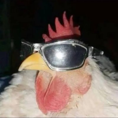 Oandraade_'s profile picture. “iiih Rapaz” - Fred.