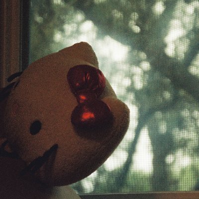 radarsignals's profile picture. all these are the days my friend and these are the days my friend.