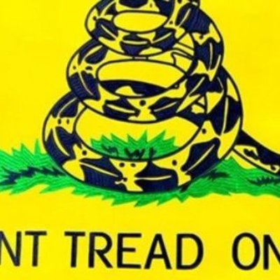 🇺🇸MAGA/MAHA 🇺🇸 AZ • Pureblood • Carnivore • Patriot • 3x Trump voter • 1A/2A