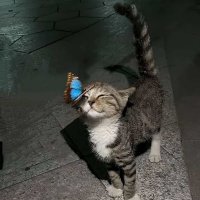 شرم نیابتی هستم. (@mari413946) 's Twitter Profile