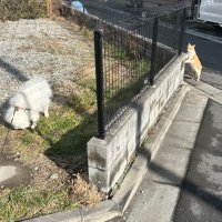 はにとー (@8210gbgb) Twitter profile photo