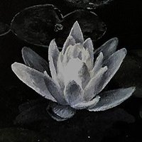 royoroyal (@royoroyal_9) 's Twitter Profile Photo