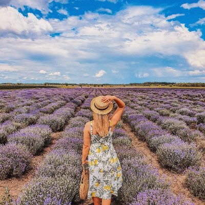 Transforming health & beauty | Embracing calm in simple lavender moments
