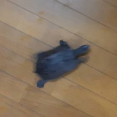 玉川さんのプロフィール画像