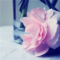 djybXOjd's profile picture. 誰とも争わず、自分が正しいと思うことを作ることです。これがあなたの悩みを共有するのに役立つことを願っています。