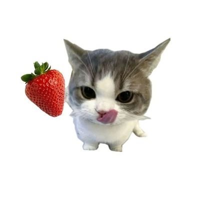 oslomtc's profile picture. @dheryux's back up acc