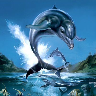 Ecco the Dolphin Profile