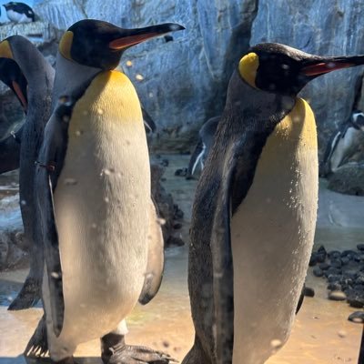 raitnato's profile picture. 