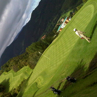 andreshcuervo's profile picture. 