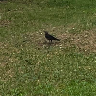 johyeonseo18853's profile picture. 