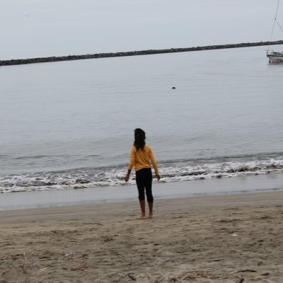RecycleDividend's profile picture. 
