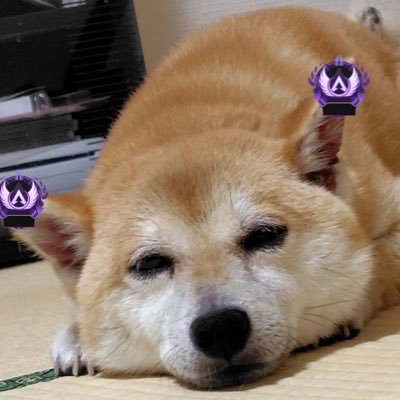 APEXst19/s23〜25😈 18/Youtubeメイン⭐️毎日配信/short投稿目標⭐️APEX /崩スタ/俺アラ/モンスト/原神