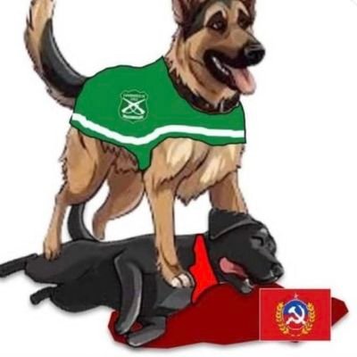 janyherreraf's profile picture. 