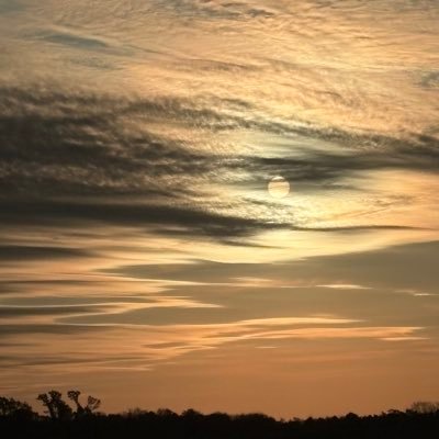 tomasrm23's profile picture. 