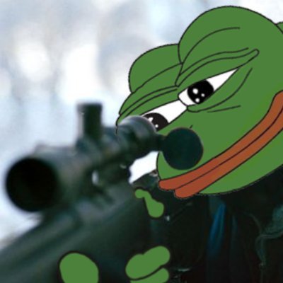 pepe_100x's profile picture. it takes patience to win