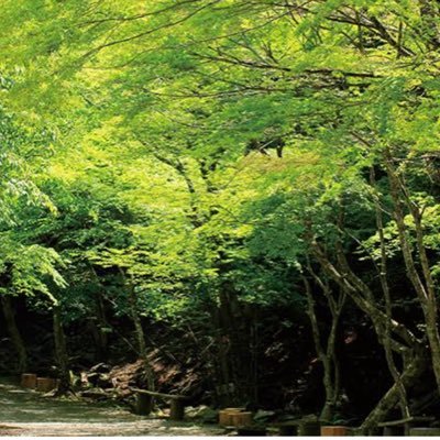 chias12345's profile picture. ア