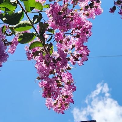 思いの丈(短め) / 独断と偏見で、好きな文章を書く方をフォローしています。 / 失恋引きずり太郎です。 / 言葉遣いがブレブレですが全部あわせてすみこです。よろしくお願いします。