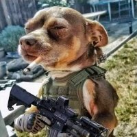 Triflin Hoe Bitch (@happynapps) 's Twitter Profile