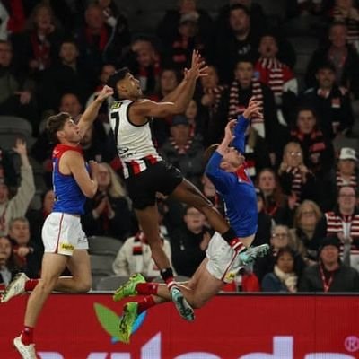 Ruga1993's profile picture. St Kilda Saints | Green Bay Packers | Boston Celtics | Arsenal