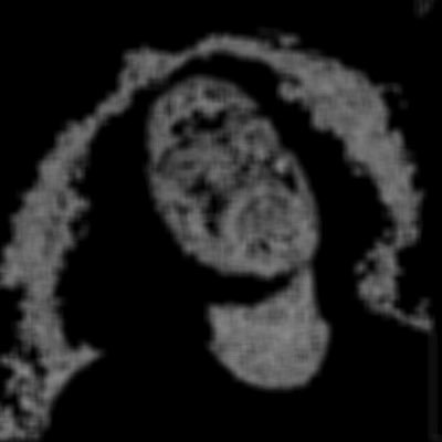 shaidx's profile picture. شاخ.