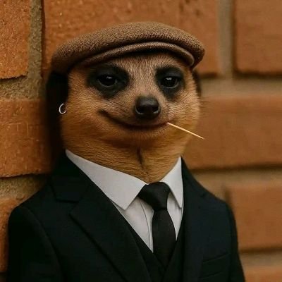 iammayowaadigun's profile picture. 