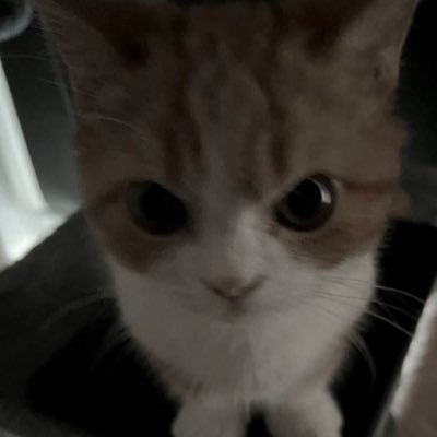 w62x2f1's profile picture. ENFP￤れぽれぽれぽれぽれぽれぽれぽれぽれぽれぽれぽれぽれぽまいくらまいくらまいくらまいくらまいくらまいくら