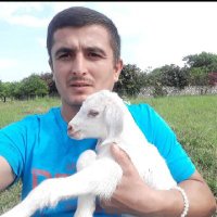 Ekrem Akkaya (@ekrem53836028) 's Twitter Profile Photo Ekrem Akkaya (@ekrem53836028) 's Twitter Profile Photo
