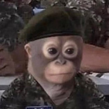 monkeybzz's profile picture. cooking @embrdotfun (´㉨`)