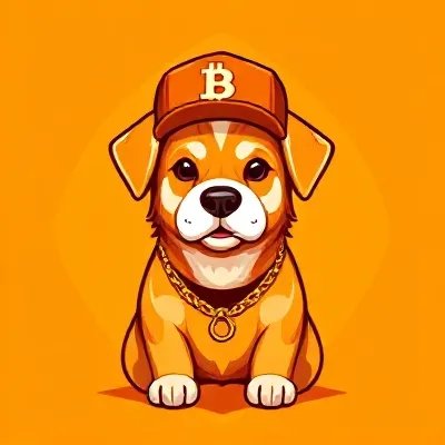 Gussie450583's profile picture. 🚀Exploring the future of Crypto, NFTs & DeFi 💡🔄