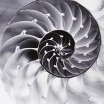 alanshore28's profile picture. 23