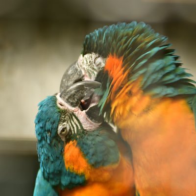 photo_mitsu50's profile picture. ポートレート中心に写真をあげていきます｜過去アカウント削除のためモデルさん確認が出来たものから過去写真もアップさせて頂きます🙇🏻‍♂️