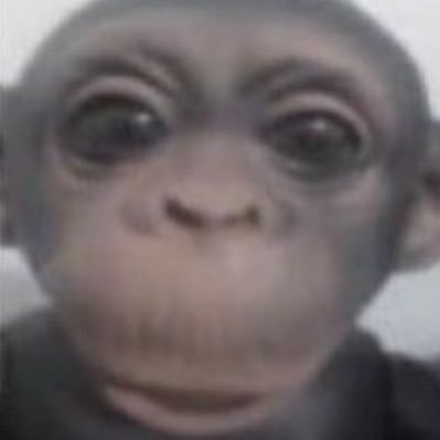 Noe7319's profile picture. ☾