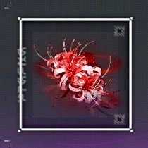 花椒魚さんのプロフィール画像