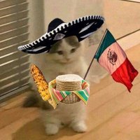 ₗₐ cₐₛₐ dₑ ₗₒₛ fᵤₙₐdₒₛ (@obsidianseraphh) 's Twitter Profile Photo ₗₐ cₐₛₐ dₑ ₗₒₛ fᵤₙₐdₒₛ (@obsidianseraphh) 's Twitter Profile Photo