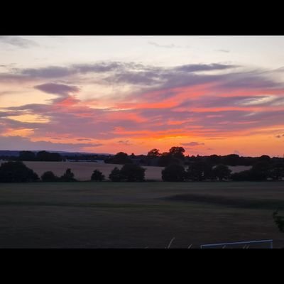 mion2413's profile picture. 