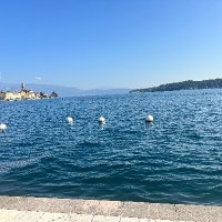 Nofakenews (@fakten135793) Twitter profile photo