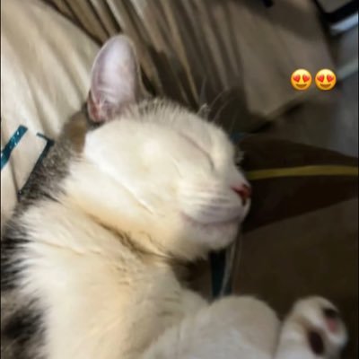 ahmettuncerr14's profile picture. 