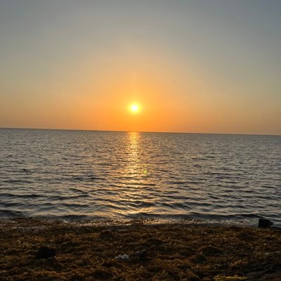 Alha52F74's profile picture. اعظم الكرم العفو عند المقدره