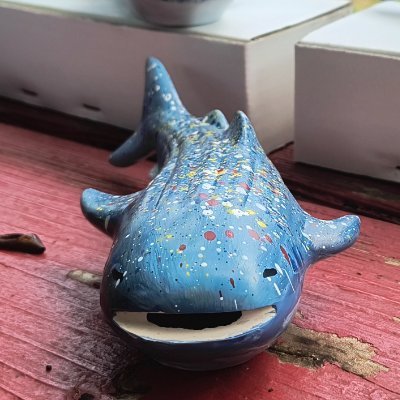chiyo_papa184's profile picture. 人間ってお堅いのね、海はこれが普通よ。