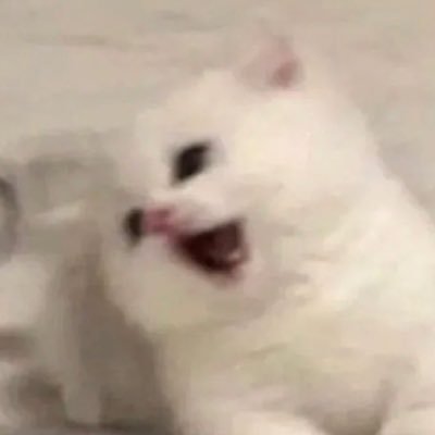 Giselaloves's profile picture.