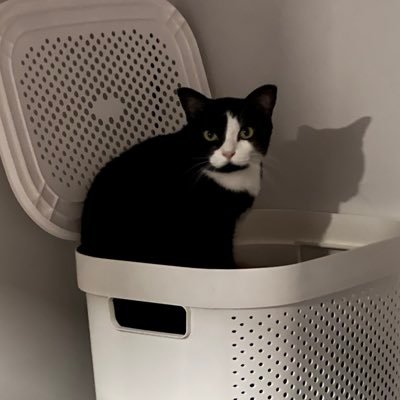 MandaraEWH93's profile picture. 