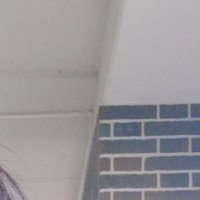 亦組 (@sadamarazaru) 's Twitter Profile Photo