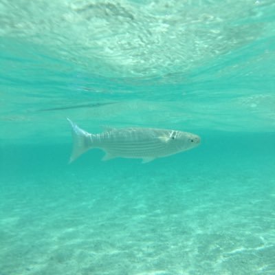 ETLUGL's profile picture. 구독