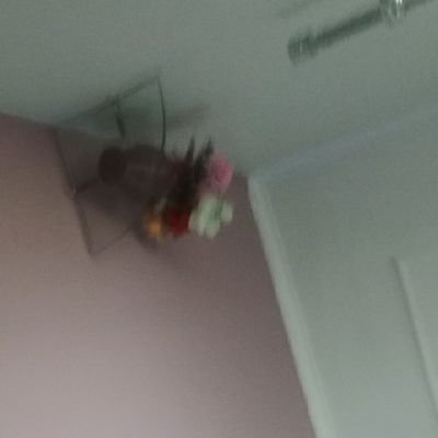 Rakeshsvp25's profile picture. 