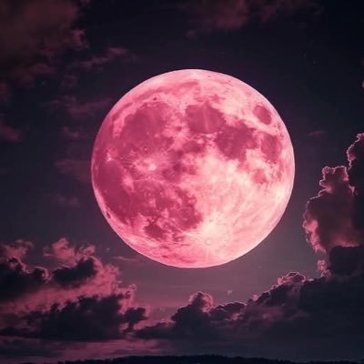 Nico_0829_'s profile picture. 私の特別をあげる🎵
