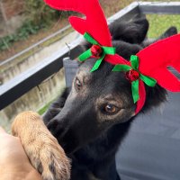 Monssif Bakri (@monssiiif) 's Twitter Profile