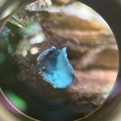 kkmaru2008's profile picture. 